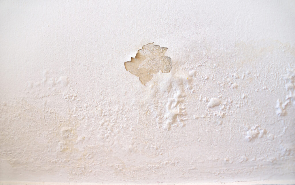 Hoe opstijgend vocht herkennen?