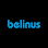 Belinus Energy BV