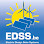 EDSS